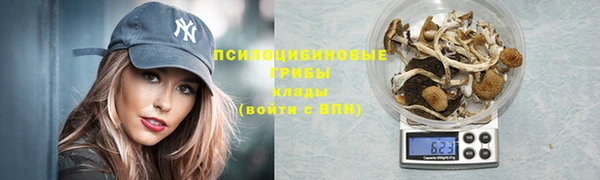 крисы Абдулино