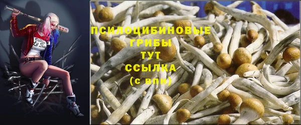 бутират Абинск