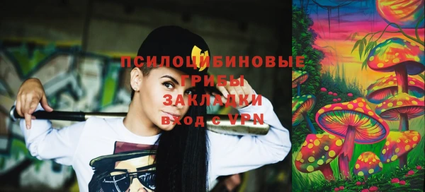 крисы Абдулино